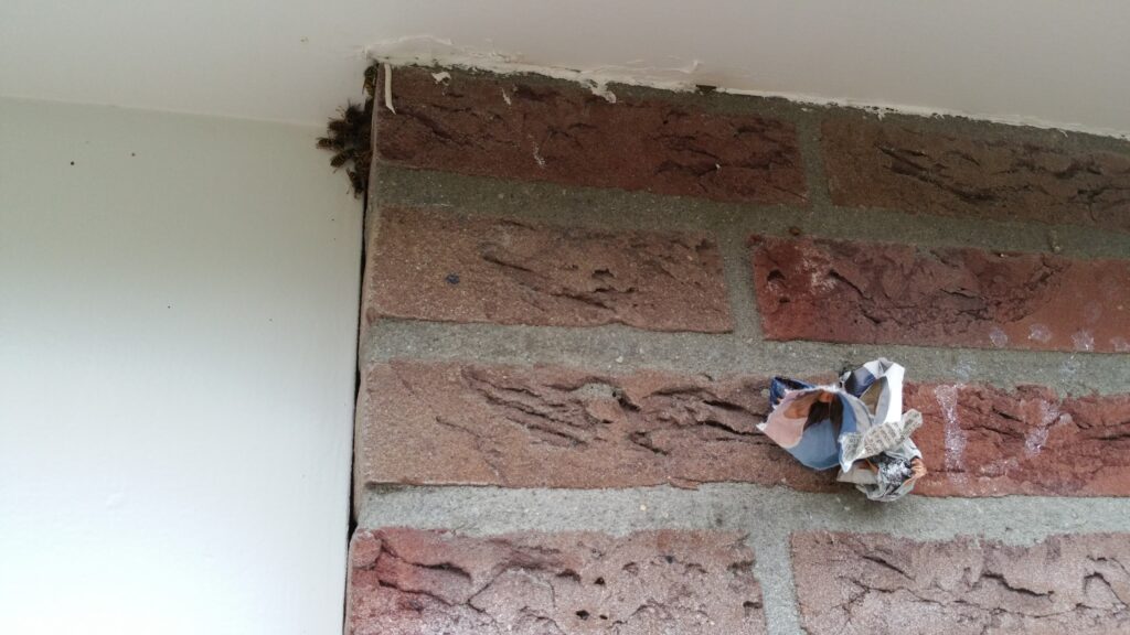 wespen bestrijden Rosmalen