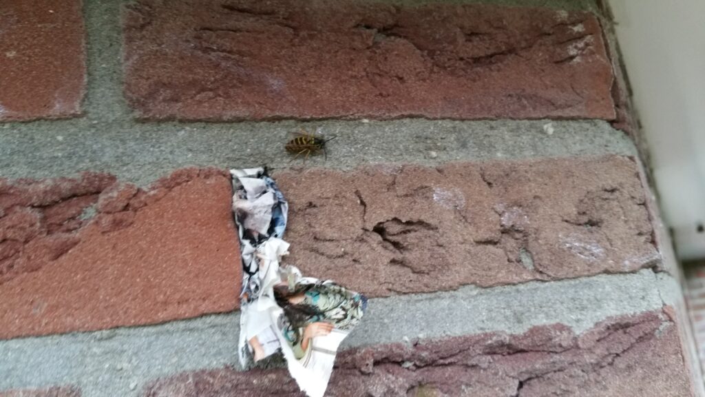 wespen bestrijden Rosmalen