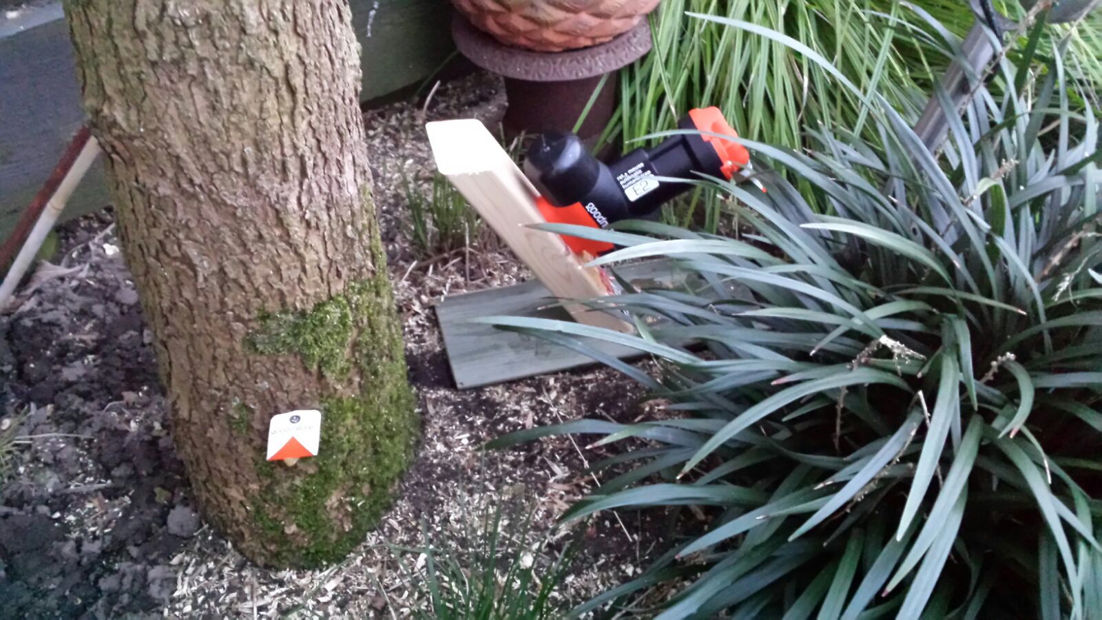 SUCCES GIDS – Handleiding GoodNature A24 Rattenval