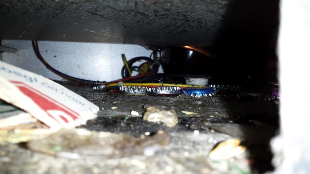 Tips tegen Fruitvliegjes in de horeca