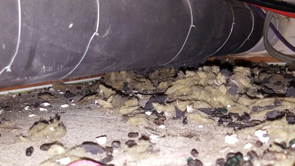 Ratten herkennen loopsporen