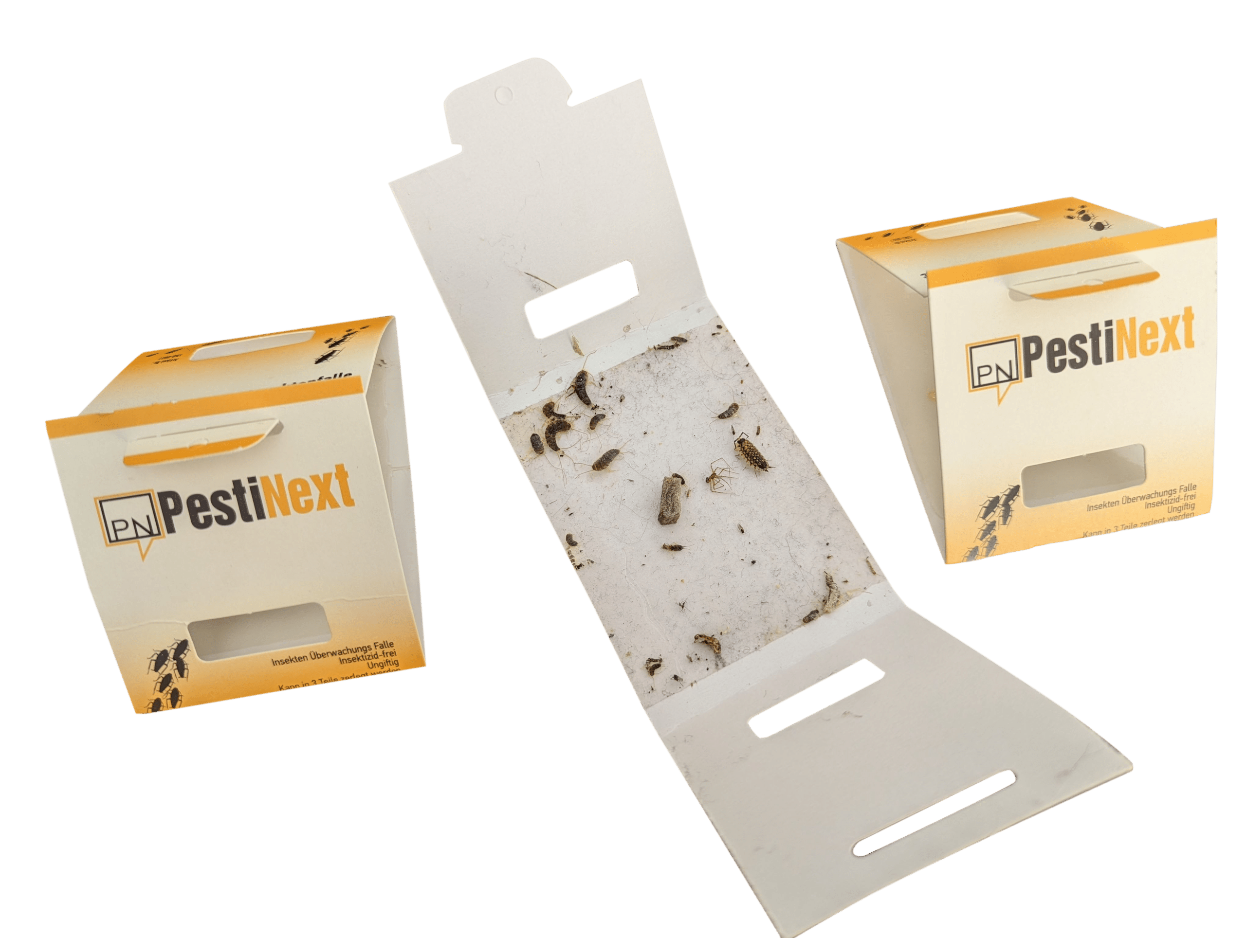 PestiNext- zilvervisjes papiervisjes en insecten valletjes