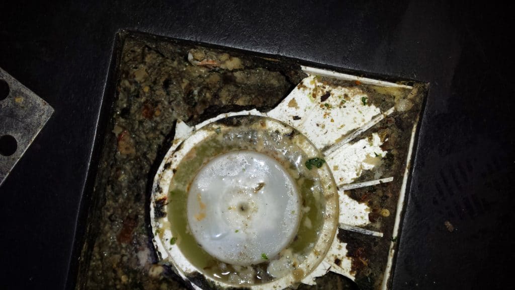 Fruitvliegjes – TIPS om overlast te voorkomen