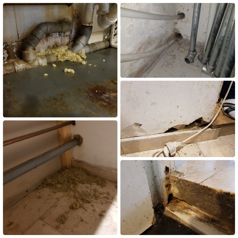 Muizen weren uit je huis