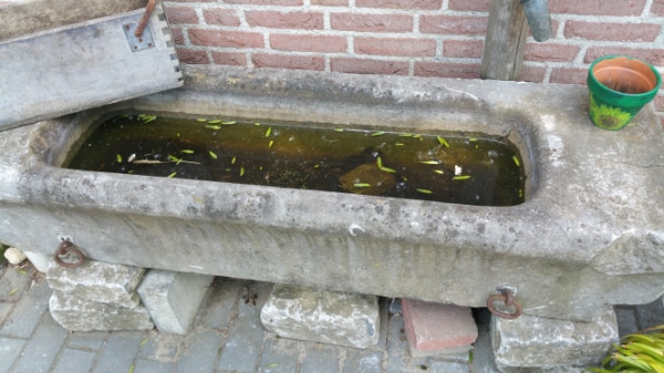 muggen bestrijden op de boerderij