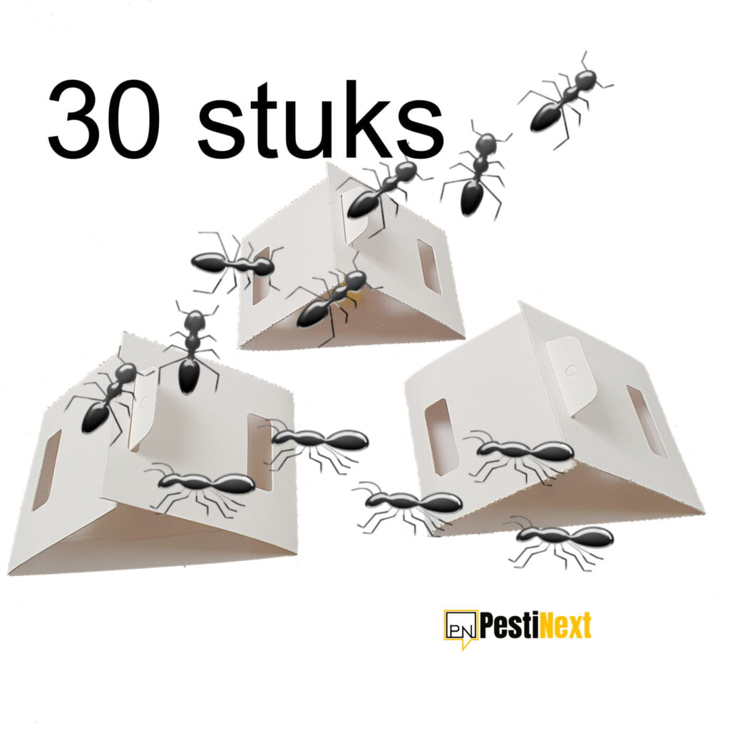 alles tegen ongedierte