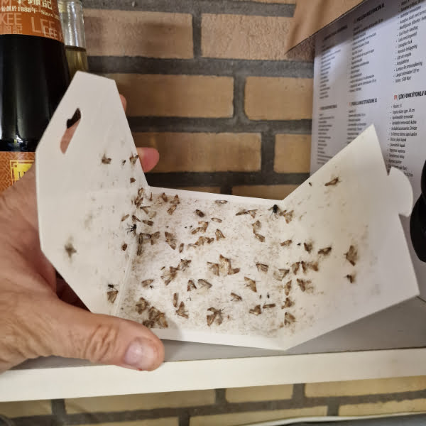 Handleiding PestiNext mottenval