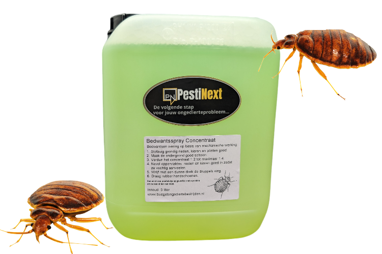 5 ltr Anti-Bedwants concentraat – PestiNext