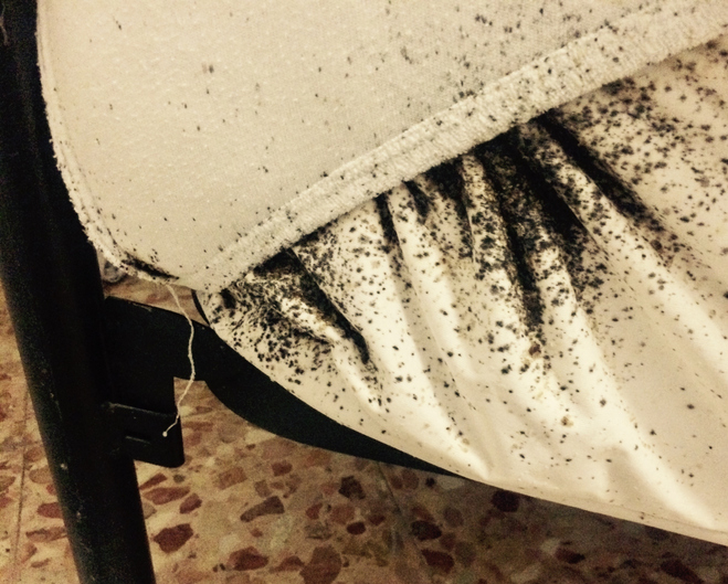 handleiding Bedwants lijmvallen