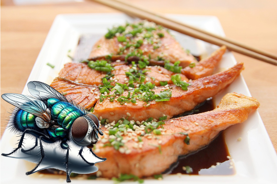 Clean Kill Micro Fast tegen vliegen in horeca