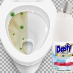 Dasty Hygiene