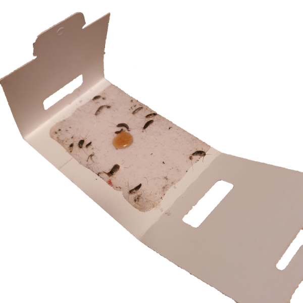 Handleiding PestiNext zilvervisjesval