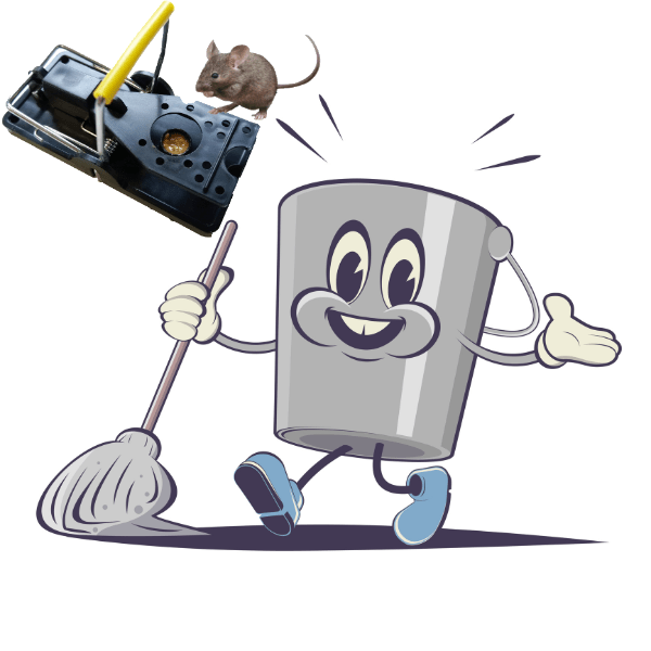 muizenval schoonmaken