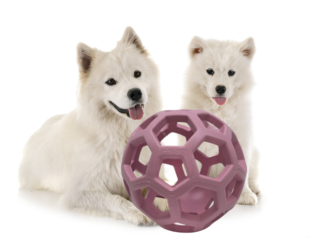 JW Hol-EE Roller – Speelbal