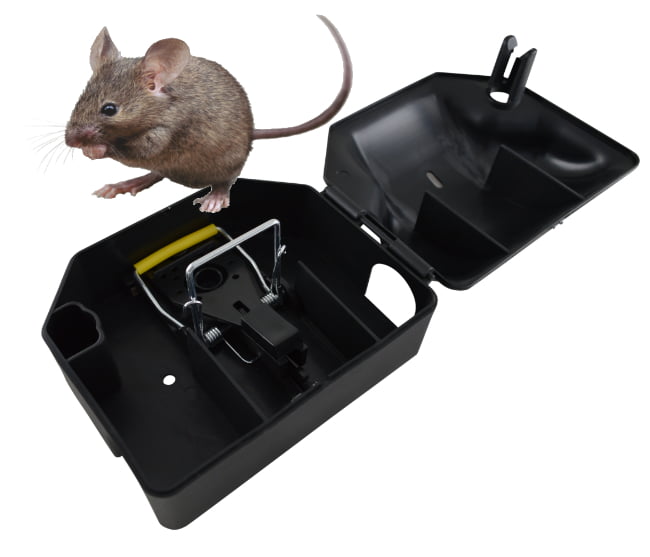 alles tegen ongedierte