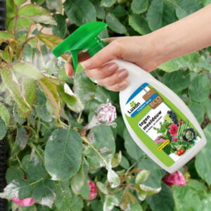 Luxan Meeldauw Spray