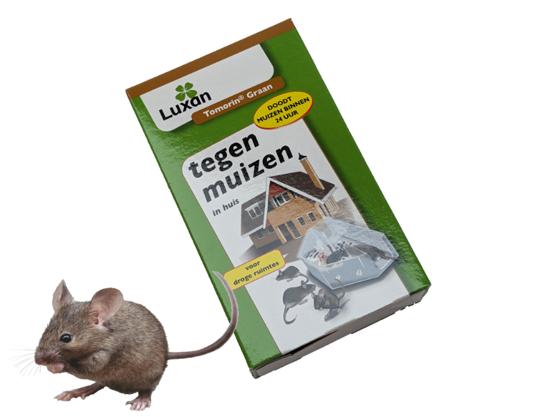 Luxan Tomorin Graan muizengif