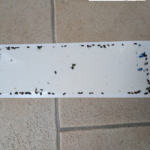 PestiNext Insecten Lijmval