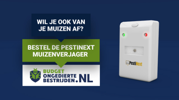 muizen met geluid verjagen