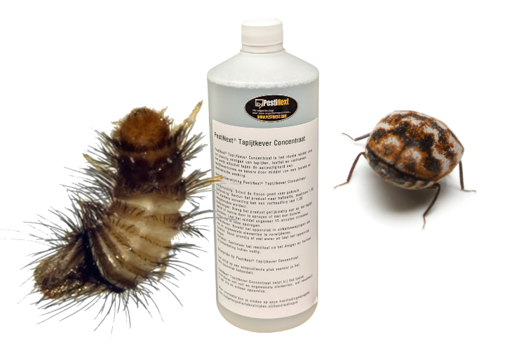 PestiNext tapijt spray concentraat