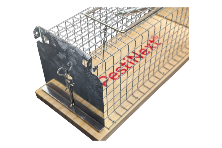 Diervriendelijke Rattenvangkooi