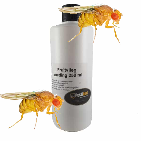 250ml – Fruitvliegjes – lokstof van PestiNext
