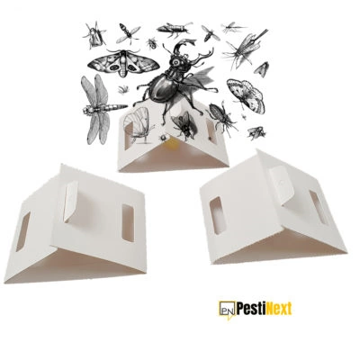 Handleiding PestiNext Insectenval – Zilvervisjesval