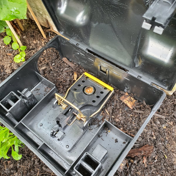 handleiding rattenklem