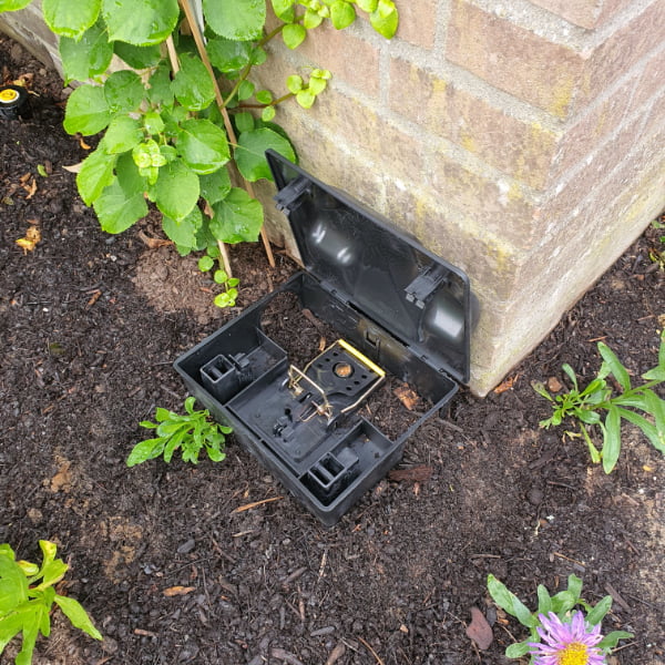 handleiding rattenklem