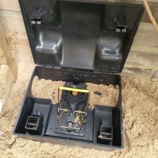 handleiding rattenklem