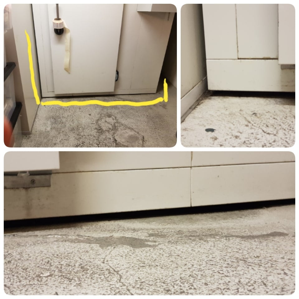 Muizengaas RVS (hoogste kwaliteit) - 10cm breed - per meter - Afbeelding 3