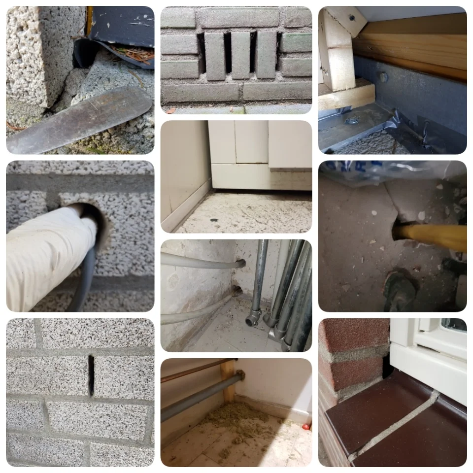 Handleiding muizen in en rond de woning