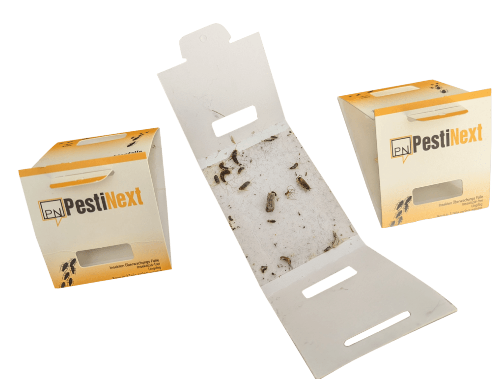 handleiding zilvervisjes 