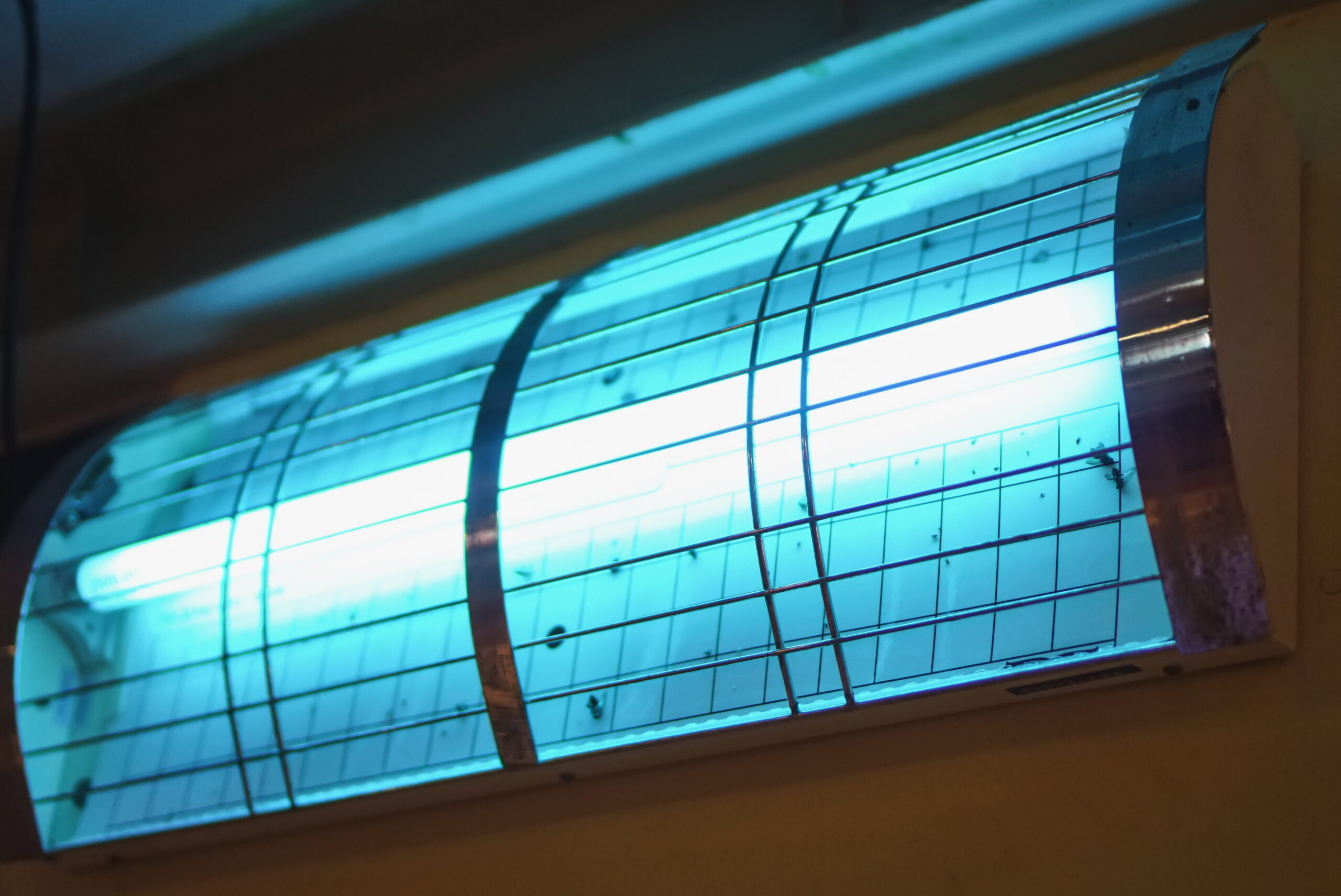 Beste vliegenlamp: De top insectenlampen