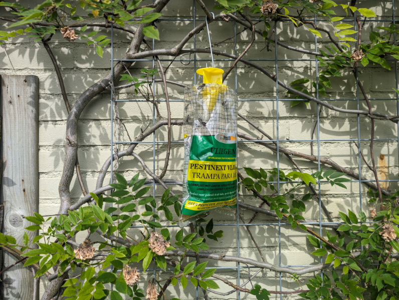 vliegen - vliegenzak