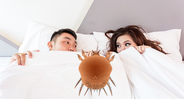 matrasbeschermer matrashoes