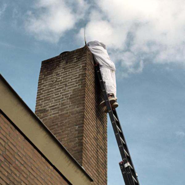 Wespen Bestrijden Rosmalen bel direct 06-19937873