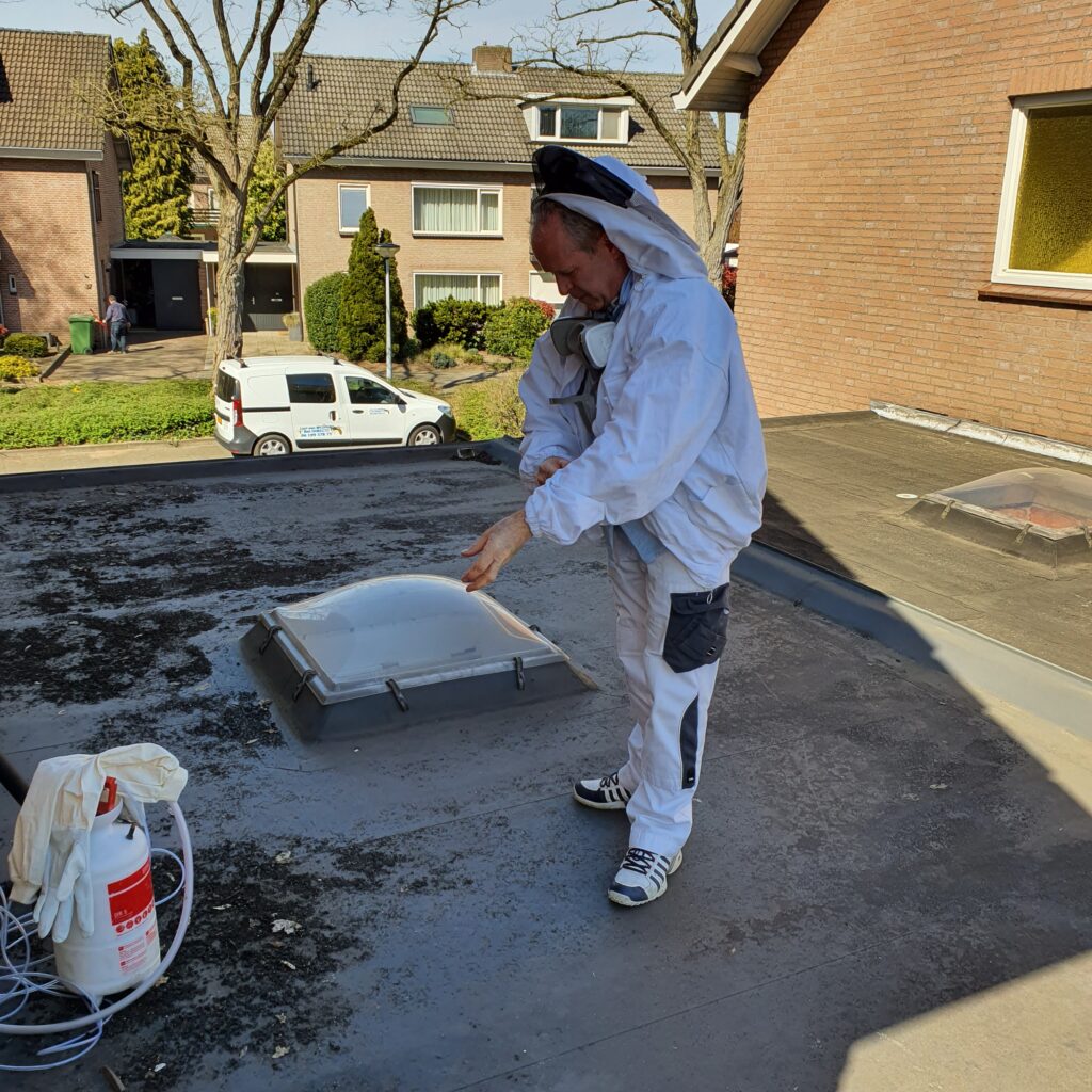 wespen bestrijden Rosmalen