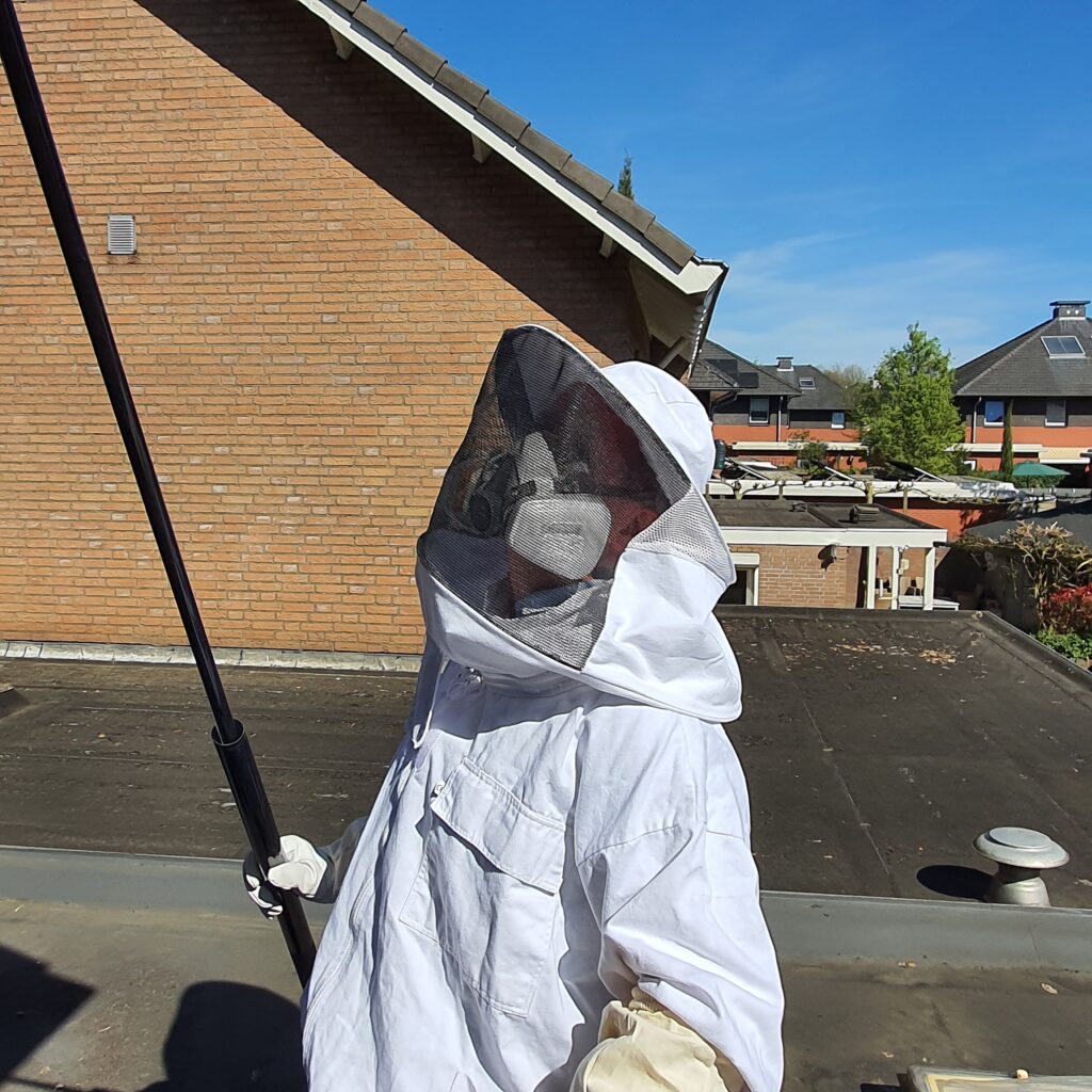 wespen bestrijden Rosmalen