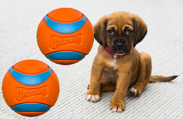 Apporteerbal 2 pack 6cm