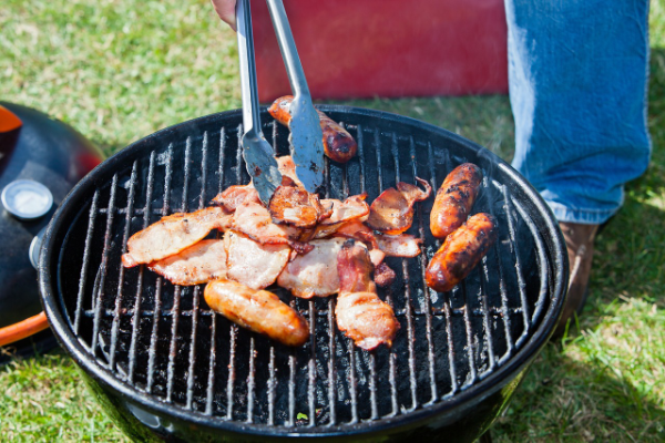 dasty Ontvetter professional voor bbq