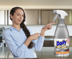 dasty rvs professional