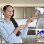 dasty rvs professional