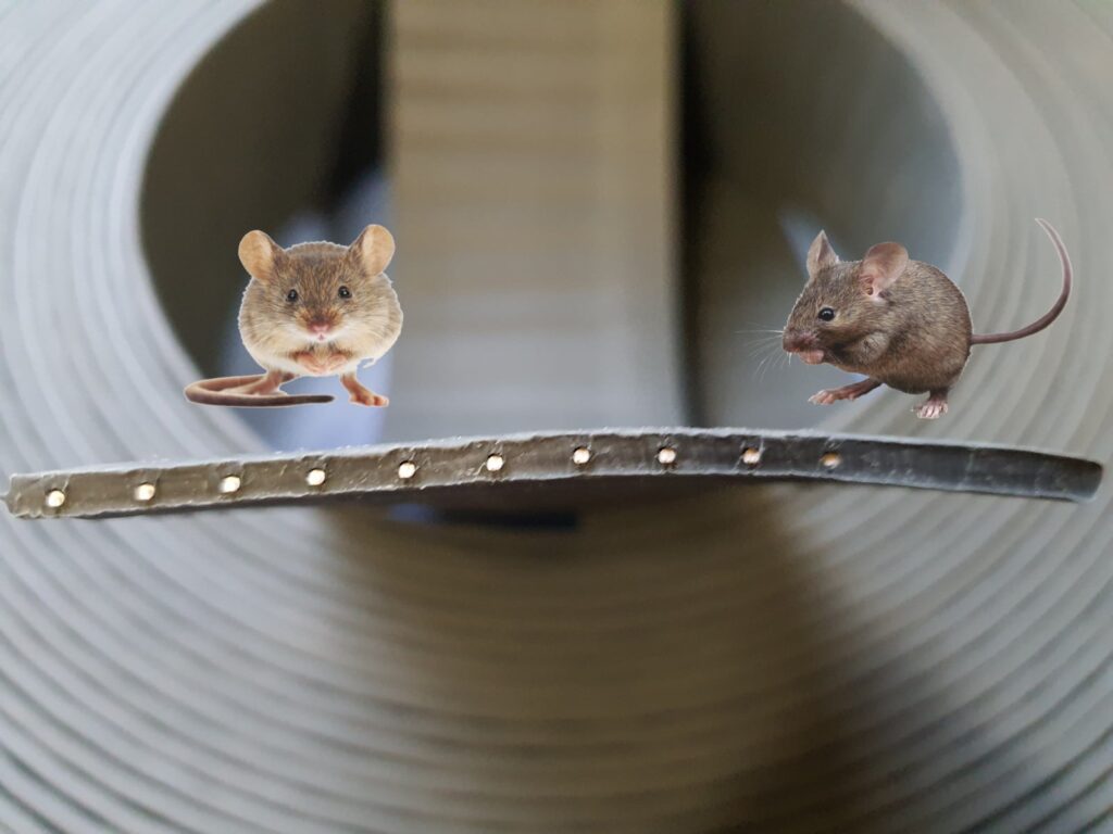 handleiding raxit deurafdichting