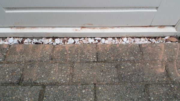 diatomeeenaarde tegen mieren