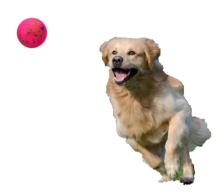 Dog Comets Speelbal M 2-pack