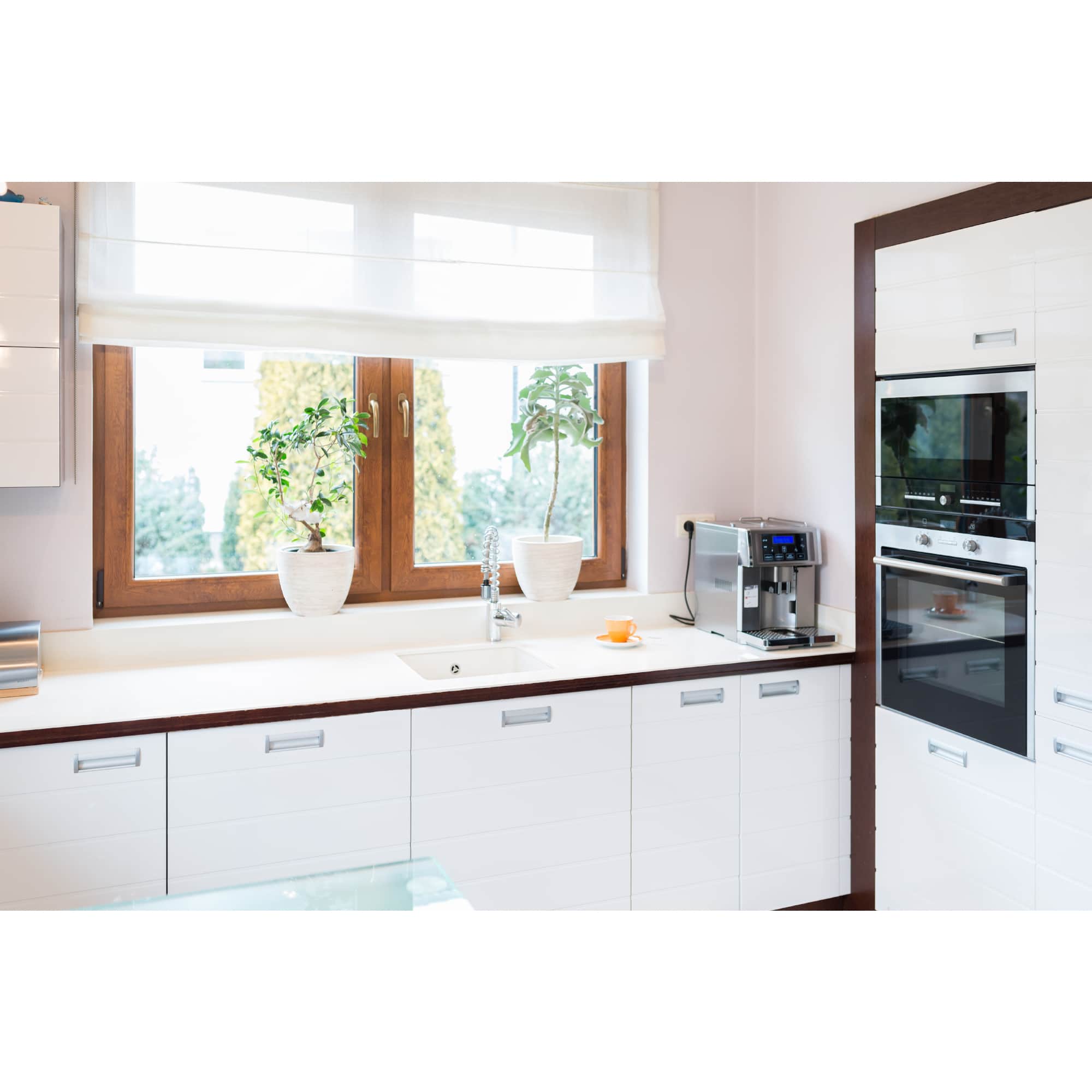 Raamsticker - Vliegenvanger voor op raam - Green Protect - Afbeelding 3