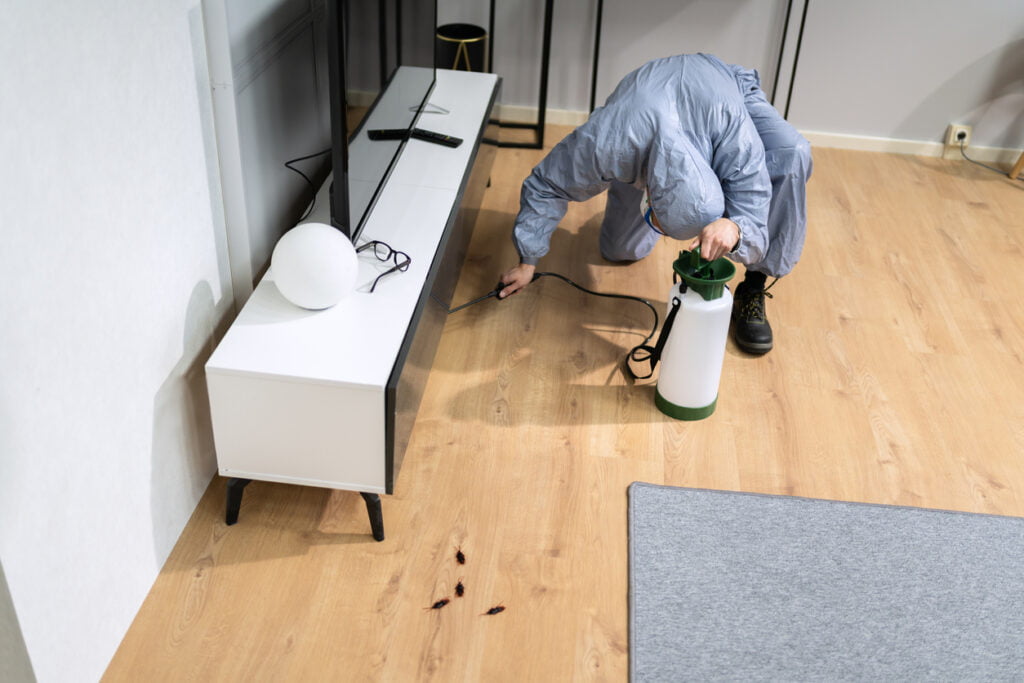 insectenwering voedselopslag