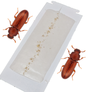 Kever Lokmiddel Lokstof