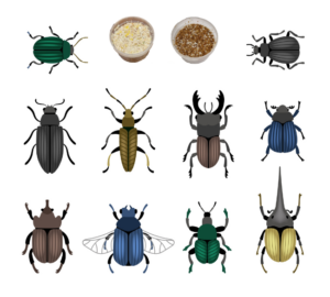 Kever Lokmiddel Lokstof